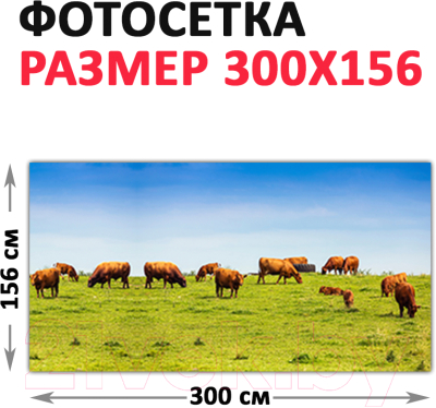 Фотофасад Arthata Поле / FotoSetka-300-21