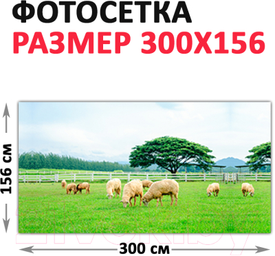 Фотофасад Arthata Поле / FotoSetka-300-22