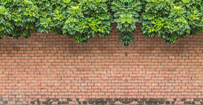 Фотофасад Arthata Виноград / FotoSetka-300-27 - фото