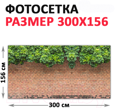 Фотофасад Arthata Виноград / FotoSetka-300-27