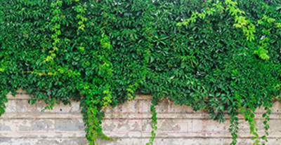 Фотофасад Arthata FotoSetka-300-29 - фото