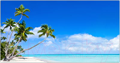 Фотофасад Arthata Пляж, пальмы, море / FotoSetka-300-111 - фото