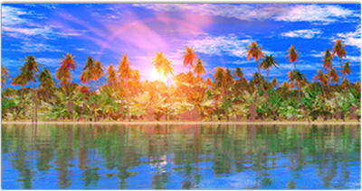 Фотофасад Arthata Пляж, пальмы, море / FotoSetka-300-121 - фото