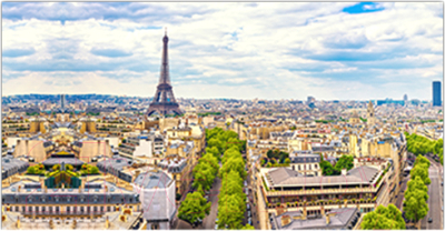 Фотофасад Arthata Париж / FotoSetka-300-35 - фото