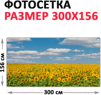 Фотофасад Arthata Небо / FotoSetka-300-37