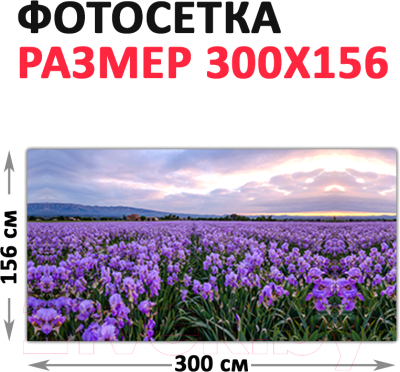 Фотофасад Arthata Лаванда / FotoSetka-300-38