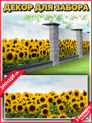 Фотофасад Arthata Подсолнух / FotoSetka-300-39