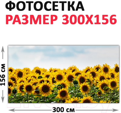 Фотофасад Arthata Подсолнух / FotoSetka-300-39