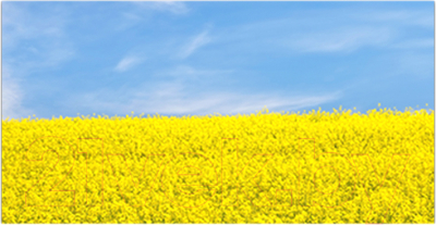 Фотофасад Arthata Луг / FotoSetka-300-41 - фото