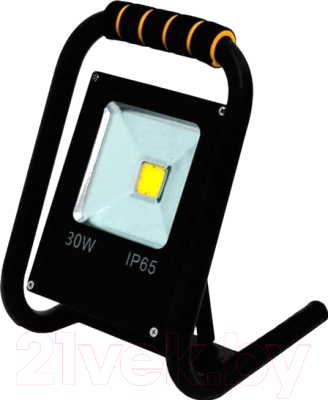 Прожектор Glanzen FAD-0015-30 - фото