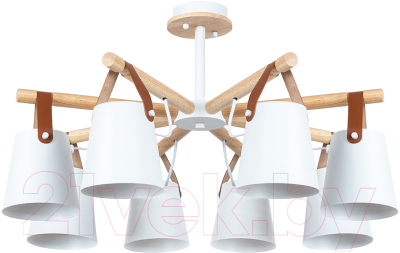 Люстра Arte Lamp Thomas A7032PL-8WH - фото