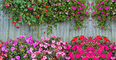 Фотофасад Arthata Живой забор / FotoSetka-300-42 - фото