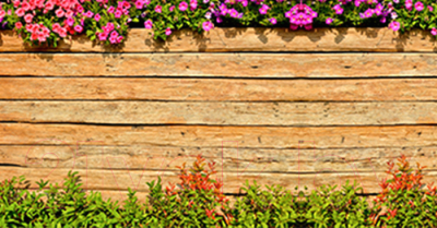 Фотофасад Arthata Дерево / FotoSetka-300-45 - фото