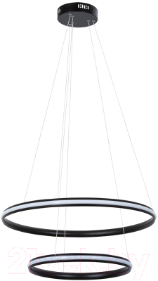 Потолочный светильник Arte Lamp Meridiana A2198SP-2BK - фото