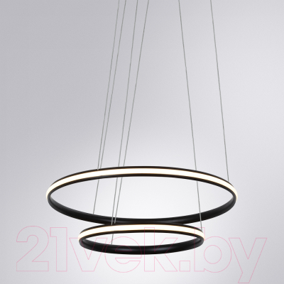 Потолочный светильник Arte Lamp Meridiana A2198SP-2BK