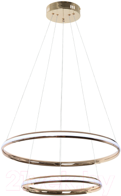 Потолочный светильник Arte Lamp Meridiana A2198SP-2GO - фото