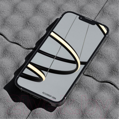 Потолочный светильник Arte Lamp Meridiana A2198SP-3BK