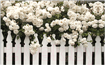 Фотофасад Arthata Розы / FotoSetka-300-46 - фото