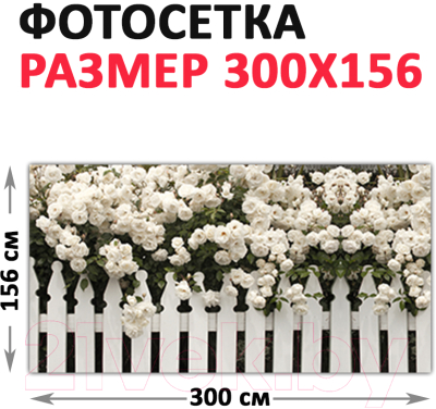 Фотофасад Arthata Розы / FotoSetka-300-46