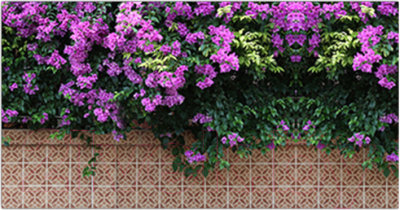 Фотофасад Arthata Цветы / FotoSetka-300-48 - фото