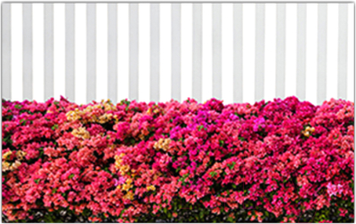 Фотофасад Arthata Цветы / FotoSetka-300-49 - фото