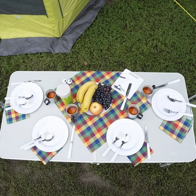 Стол складной Premier Fishing T-PR-T-60x120-1