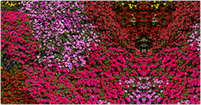 Фотофасад Arthata Цветы / FotoSetka-300-51 - фото