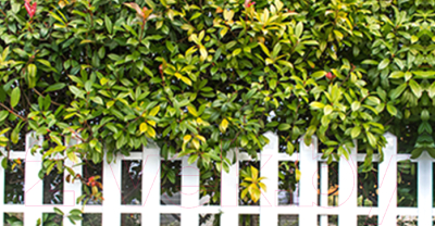 Фотофасад Arthata Зелень / FotoSetka-300-54 - фото