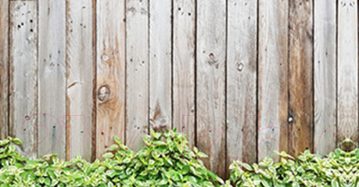 Фотофасад Arthata Доски / FotoSetka-300-55 - фото