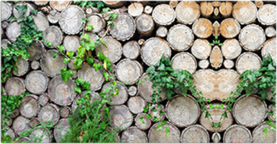 Фотофасад Arthata FotoSetka-300-62 - фото