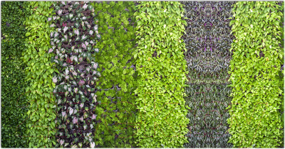 Фотофасад Arthata Листья / FotoSetka-300-64 - фото