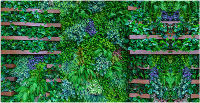 Фотофасад Arthata Листья / FotoSetka-300-67 - фото