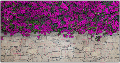 Фотофасад Arthata Цветы / FotoSetka-300-68 - фото