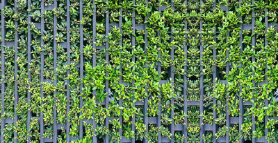 Фотофасад Arthata Зелень / FotoSetka-300-72 - фото