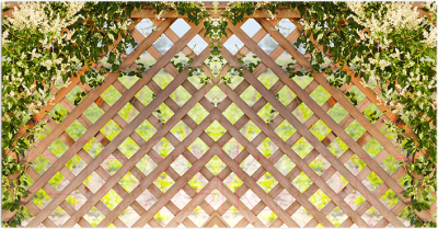 Фотофасад Arthata Плетенье / FotoSetka-300-79 - фото