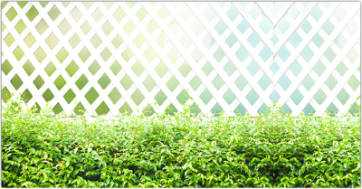 Фотофасад Arthata Плетенье / FotoSetka-300-80 - фото