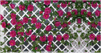 Фотофасад Arthata Плетенье / FotoSetka-300-81 - фото