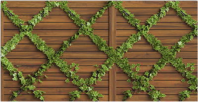 Фотофасад Arthata Плющ / FotoSetka-300-85 - фото