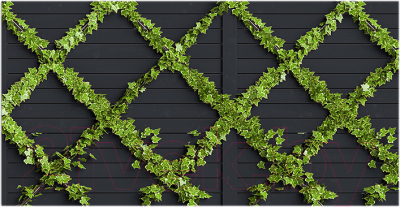 Фотофасад Arthata Плющ / FotoSetka-300-87 - фото