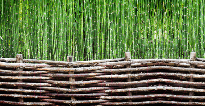Фотофасад Arthata Бамбук / FotoSetka-300-89 - фото