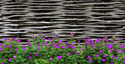Фотофасад Arthata FotoSetka-300-93 - фото