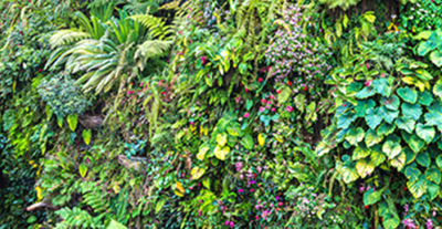 Фотофасад Arthata Зелень / FotoSetka-300-9 - фото