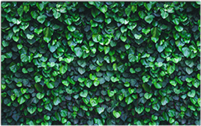 Фотофасад Arthata Кусты / FotoSetka-250-15 - фото