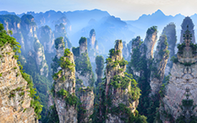 Фотофасад Arthata FotoSetka-250-17 - фото