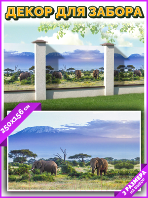 Фотофасад Arthata Слоны / FotoSetka-250-18