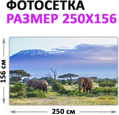 Фотофасад Arthata Слоны / FotoSetka-250-18