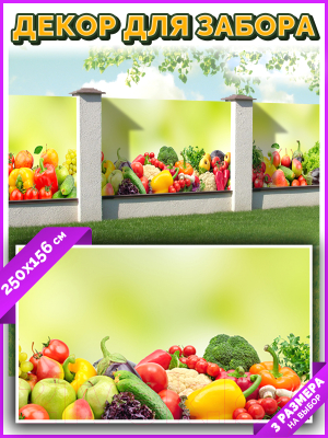 Фотофасад Arthata FotoSetka-250-19