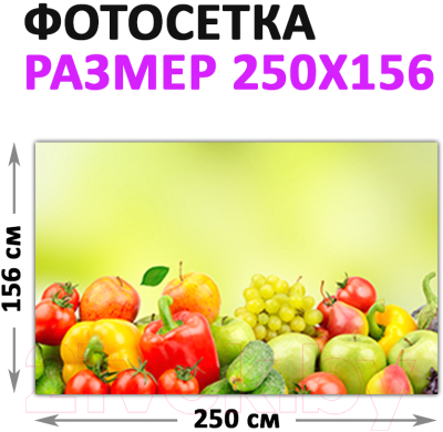 Фотофасад Arthata FotoSetka-250-19