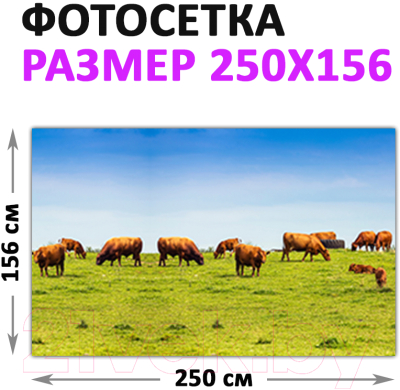 Фотофасад Arthata Поле / FotoSetka-250-21