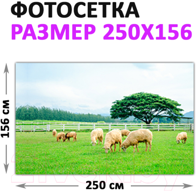 Фотофасад Arthata Поле / FotoSetka-250-22